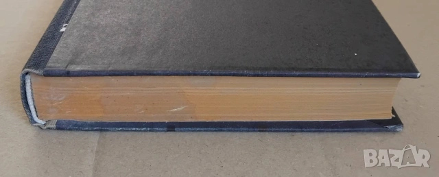 Книга Достоевски - том 12, "Писма и статии", снимка 7 - Художествена литература - 53450765