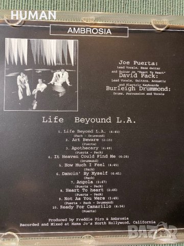 SBB - Larry Carlton - Ambrosia , снимка 16 - CD дискове - 42473874