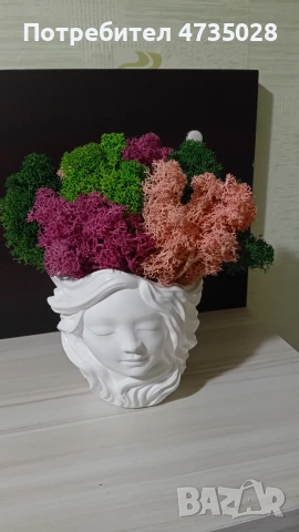 Кашпа със скандинавски мъх , снимка 2 - Подаръци за жени - 53446142