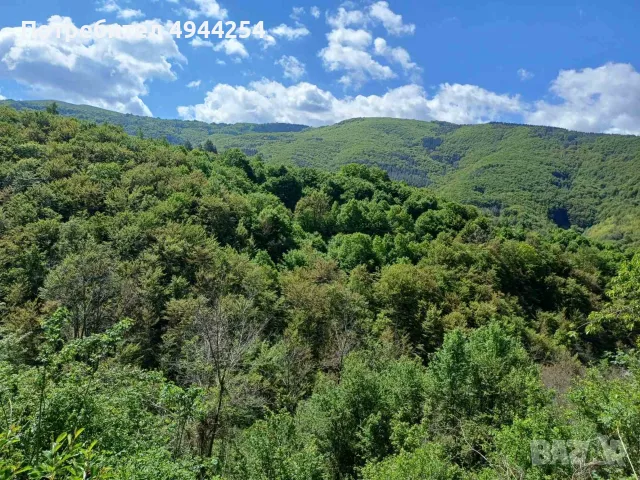 Продава вила с. Лесковдол , снимка 5 - Къщи - 56006005