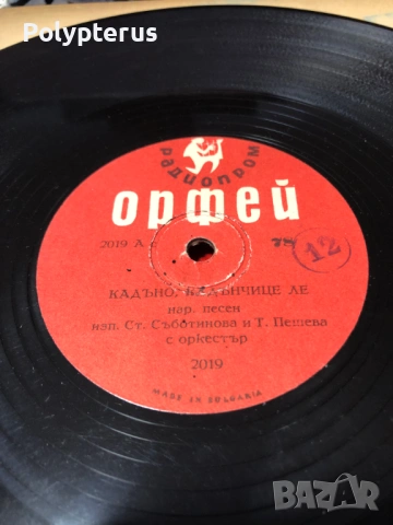 Стара българска шеллакова плоча, снимка 2 - Грамофонни плочи - 53533426