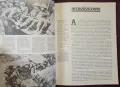 World War I 1918, снимка 3