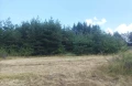 Парцел град Батак  местност Друма , снимка 3