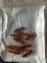 примамки за спининг, снимка 7