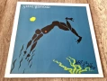 Грамофонни Плочи - Поп - Рок: Steve Winwood - Arc Of A Diver, снимка 1