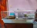 Продавам клетка и обзавеждане, снимка 2