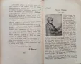 Трудъ. Кн. 1-10 /1930-1931/. Кн. 1 /1931-1932/, снимка 14