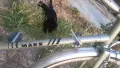 Ретро велосипед, снимка 3