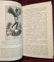 Забравена история - защо Първата световна война не беше неизбежна / The Lost History of 1914, снимка 4