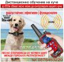 🥇Електронен нашийник за куче. каишка с ток и електроимпулси ,електрически команди , снимка 11