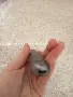 pulze електронна цигара, снимка 4