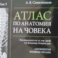 Атлас по Анатомия на човека том 3: Ангиология. Лимфоидни органи, снимка 1 - Специализирана литература - 41225362
