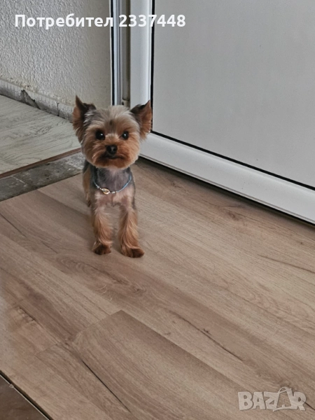 Търсим си жена, снимка 1