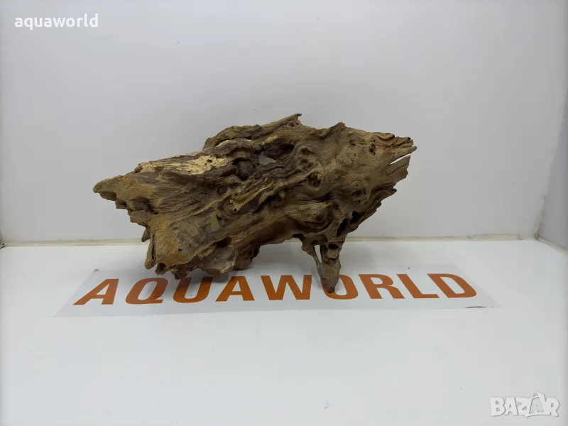 Мангров корен 67, снимка 1