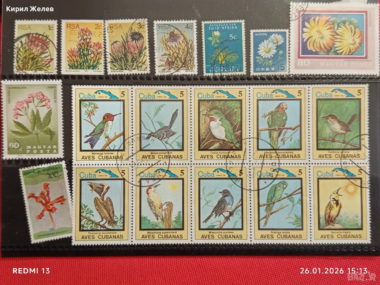 Стари пощенски марки от цял свят смесени ПТИЦИ, ЦВЕТЯ за КОЛЕКЦИЯ ДЕКОРАЦИЯ 52069, снимка 1