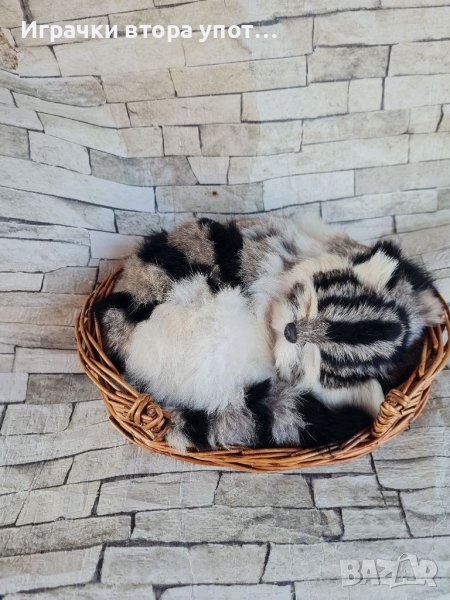 Коте от естествен косъм , снимка 1