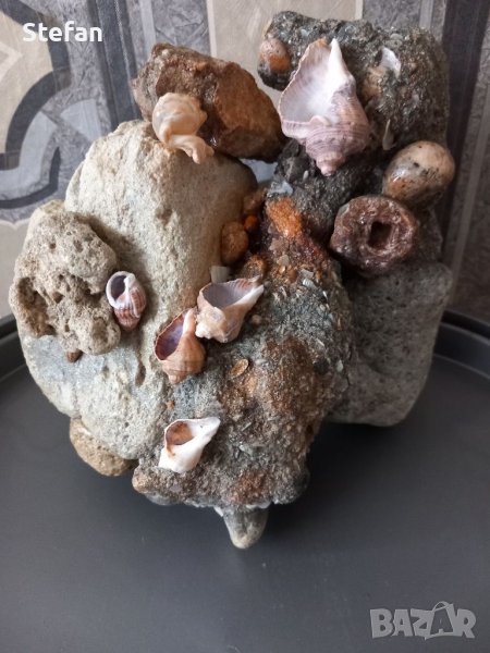 Морски камък, снимка 1