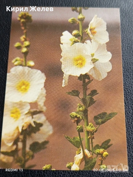 Старо календарче серия ЦВЕТЯ много красиво за КОЛЕКЦИЯ ДЕКОРАЦИЯ 31443, снимка 1