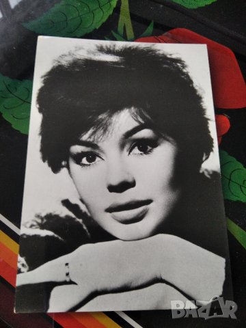 Картичка /снимка френската актриса Паскал Пети, снимка 1 - Колекции - 41170241