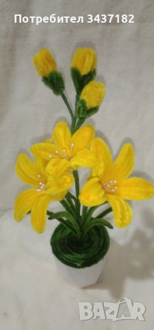 Цветни и бюджетни , снимка 9 - Декорация за дома - 53269013