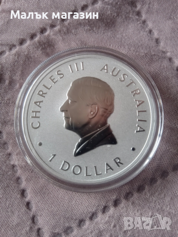 1 oz сребро Коала 2024 перфектна, снимка 3 - Нумизматика и бонистика - 53244999