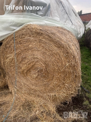 Бали, снимка 3 - За селскостопански - 52973043