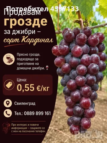 Грозде сорт Кардинал за джибри | с. Младиново - Свиленград 
