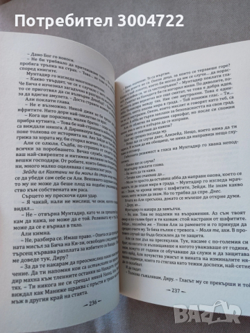 Град от месинг, снимка 2 - Художествена литература - 53648280