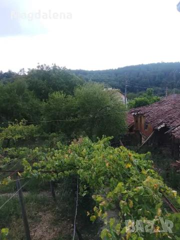 Продавам къща в с. Мрамор - област Хасково , снимка 8 - Къщи - 56121577