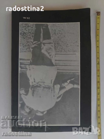 20 писма до приятели от дъщерята на Сталин, снимка 2 - Художествена литература - 53524523