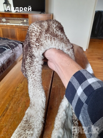 Стара детска шапка ушанка, снимка 4 - Други ценни предмети - 52955063