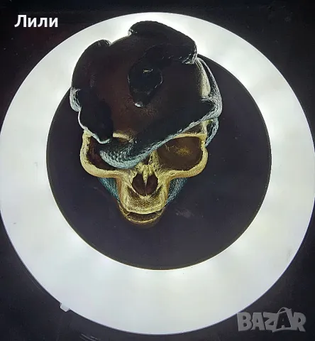 Ароматна соева свещ на череп със змия, снимка 3 - Декорация за дома - 48237774