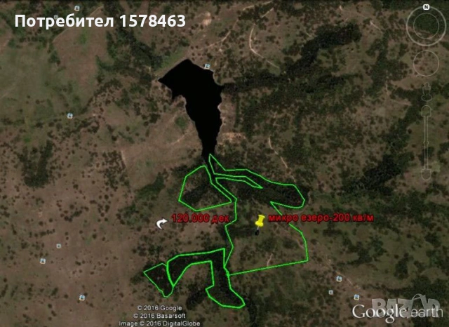 Продавам горска територия-иглолистна гора, снимка 9 - Земеделска земя - 53449944