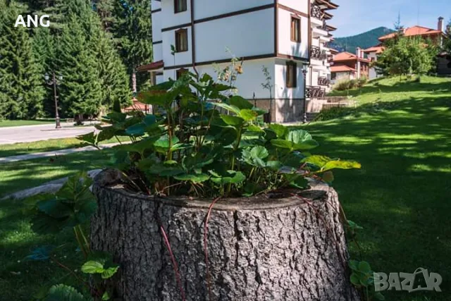 Продава студио Смолянски езера , снимка 3 - Апартаменти - 56065166