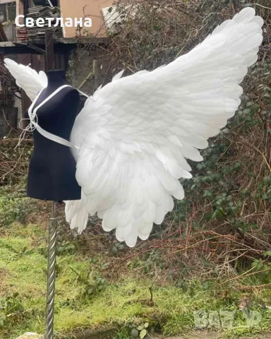 Ангелски крила за фотосесия , снимка 2 - Други - 49265919