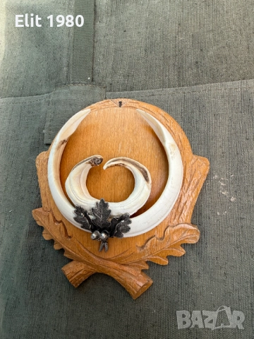 продавам ловни трофей , снимка 3 - Оборудване и аксесоари за оръжия - 52667932