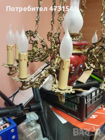 Полилей, снимка 9 - Полилеи - 53398820