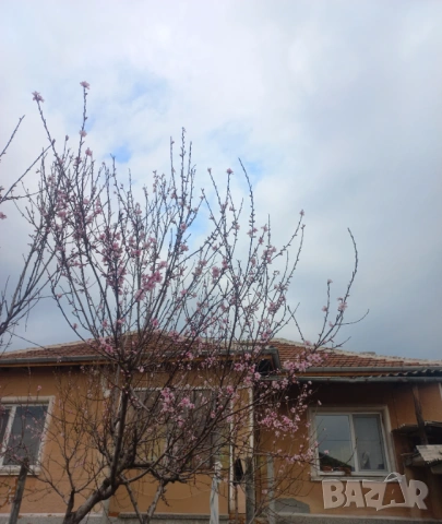 От собственик 2 парцела с ремонтирана къща! Заедно или отделно!, снимка 14 - Къщи - 49743685