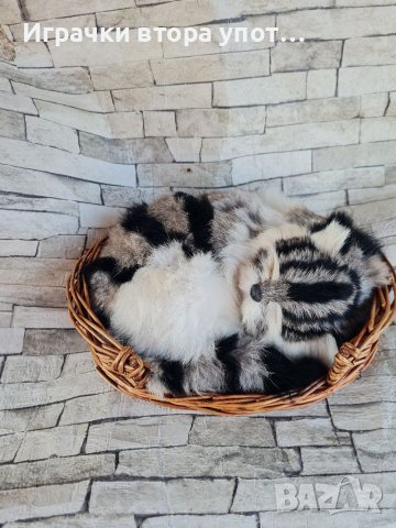 Коте от естествен косъм 