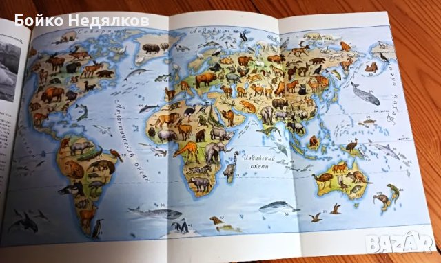 (264) "Детская Энциклопедия" , снимка 8 - Енциклопедии, справочници - 50023461