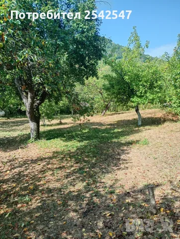 Продавам ПАРЦЕЛ в с.Типченица област Враца , снимка 5 - Парцели - 55648311