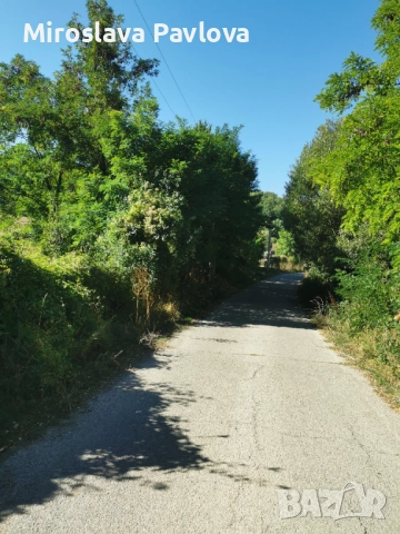 Продавам място в с. Радибош 3 Дка. 