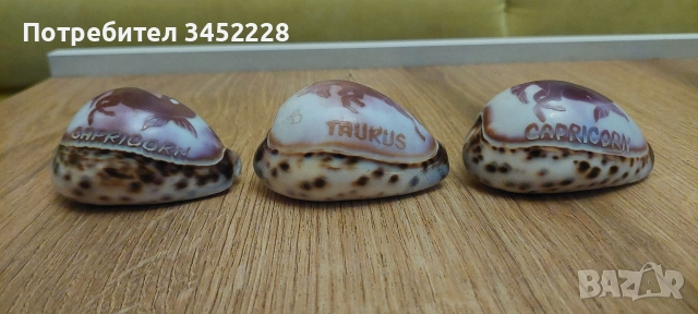 раковини гравирани три броя за ценители , снимка 2 - Декорация за дома - 52665846