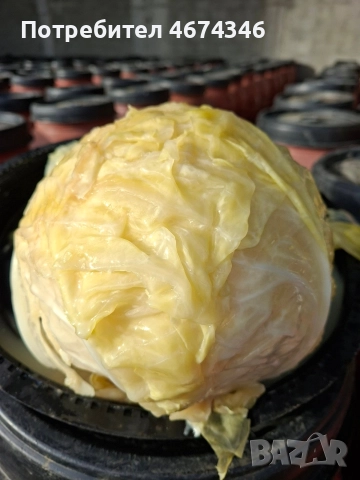 българско кисело зеле