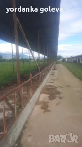Ферма, снимка 2 - Земеделска земя - 50434775