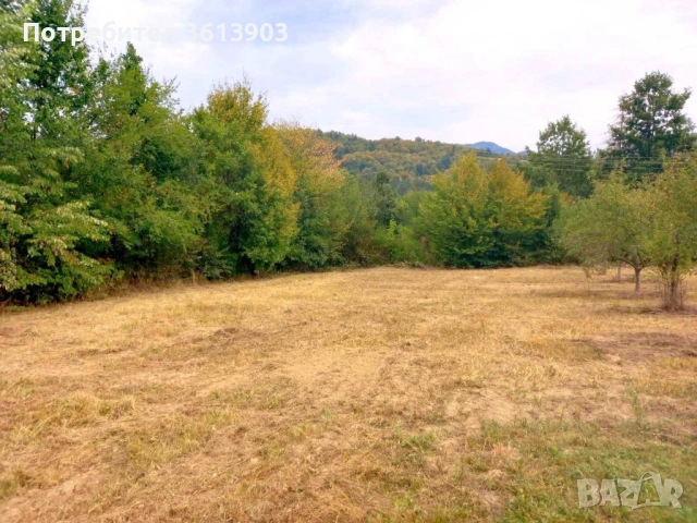 Продавам УПИ в с.Рибарица, общ. Етрополе, в.з. "Манастира", снимка 4 - Парцели - 52853495