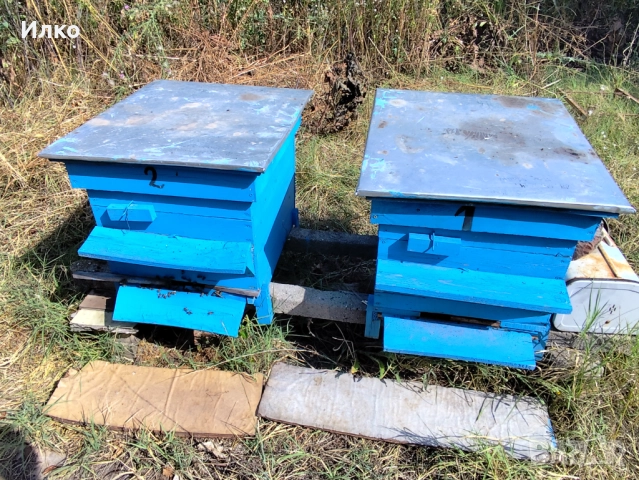 Пчелни кошери , снимка 3 - За пчели - 51451671