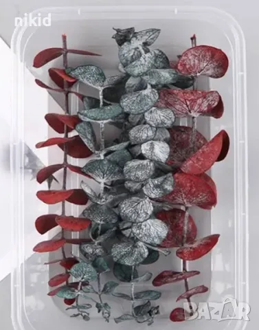 5 бр Естествени Листа от Евкалипт Клони Стъбла Сухи Цветя декорация, снимка 2 - Изкуствени цветя - 49411494