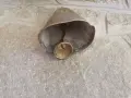 Стар здрав бронзов чан, снимка 3