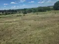 Почистване на пасища градини и терени. Мулчиране и Косене. Бързо и изгодно! , снимка 13